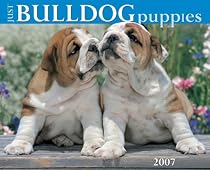 Just Bulldog Puppies (Just)