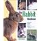 learn about how to take care of your Rabbit!