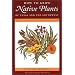 How to Grow Native Plants of Texas and the Southwest: Revised and Updated Edition