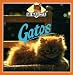 Book Gatos (Mi Mascota)