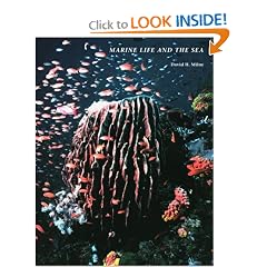 Marine Life and the Sea (Wadsworth Biology Series)