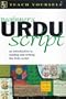 Teach Yourself Beginner's Urdu Script