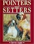 Pointers and Setters