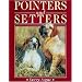 Pointers and Setters