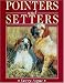 Pointers And Setters