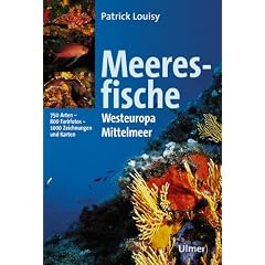 Meeresfische Westeuropas und des Mittelmeeres