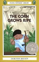 Corn Grows Ripe