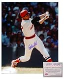 Carlton Fisk Boston Red Sox MLB Hand Signed 16x20 Photograph Baseball Batting