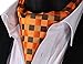 SetSense Men's Plaid Jacquard Woven Self Cravat Tie Ascot