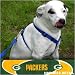 Green Bay Packers Green Dog Harness