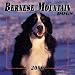 Bernese Mountain Dogs 2000 Calendar