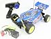 1:10 Scale Off Road Extreme Racing Buggy The Rogster Born To Race Electric RTR RC Buggy Remote Control BUGGY High Quality (Colors May Vary)