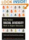 What Makes Racial Diversity Work in Higher Education: Academic Leaders Present Successful Policies and Strategies