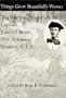 Things Grew Beautifully Worse : The Wartime Experiences of Captain John O'Brien, 30th Arkansas Infantry, C.S.A.