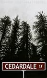 Cedardale Court (A Long and Windy Book)