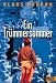 Ein Trümmersommer