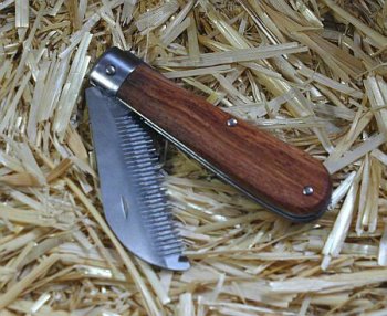 Childrens Toyshop  Sporting Goods : Folding Mane Thinning Comb