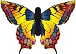 power kite buggy