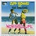 Wonderful Life