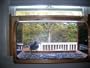 Michael Jackson Thriller. In-house Window Bird Feeder