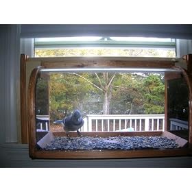 Michael Jackson Thriller. In-house Window Bird Feeder by
