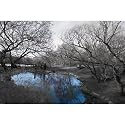 Isack Kousnsky-Central Park in Black and White with Blue Pond, Photography Poster Print, 24 by 36-Inch