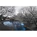 Central Park in Black and White with Blue Pond, Photography Poster Print, 24 by 36-Inch Central Park in Black and White with Blue Pond, Photography Poster Print, 24 by 36-Inch
