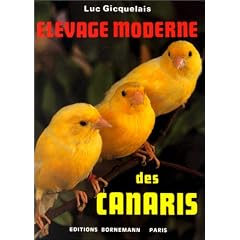 Elevage moderne des canaris