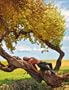 Earthly Beauty (Bruno Gmunder Verlag)