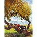 Earthly Beauty (Bruno Gmunder Verlag)