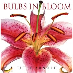 Bulbs in Bloom: Tubers, Corms, & Rhizomes