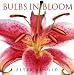 Book Bulbs in Bloom
