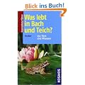 Was lebt in Bach und Teich?: 250 Tiere und Pflanzen
