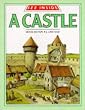 See Inside a Castle