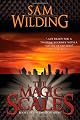 The Magic Scales: Book One of the Denthan Seriesby Sam Wilding