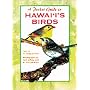 A Pocket Guide to Hawaii's Birds