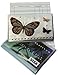 WINGS Craft & Fundraising Supply RFID Debit Credit Card Holder ATM Case, Bling Glitter Wildlife & Animals (White Monarch Butterfly with 2 Debit Registers)