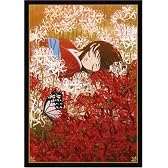地獄少女 二籠 箱ノ一 [DVD]