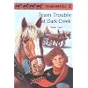 Team Trouble at Dark Creek (Stablemates #2)