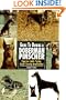 The Guide to Owning a Doberman Pinscher