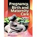 Pregnancy, Birth and Maternity Care: Feminist Perspectives