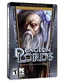 Dungeon Lords Collectors Edition