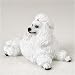 New! Stone Resin Realistic White Poodle Dog Figurine