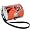 Cincinnati Bengals