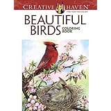creative haven beautiful birds coloring book creative haven coloring books