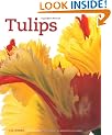 Tulips: An Abundance of Colour