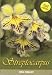 Books : Streptocarpus. (Second edition)