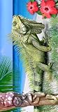 IGUANA BEACH TOWEL