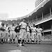 New York Yankee Jerry Coleman Backed Up by Teammates after Being Called for Duty Duri...