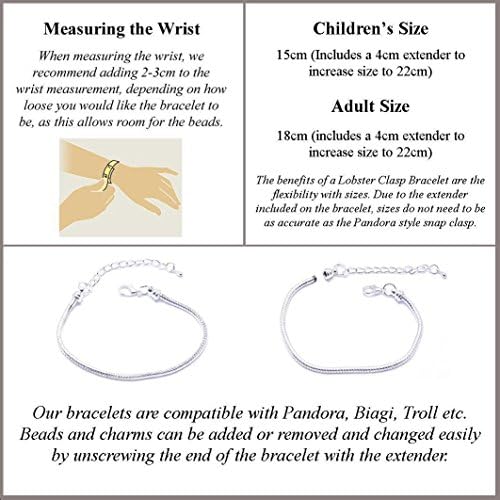 Skulls and Crosses Charm Bracelet Women's Pandora Style